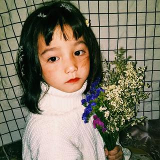 民谣（花粥 陈粒 陈雪凝 房东的猫）