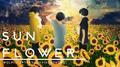 Sunflower专辑