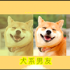 犬系男友