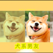 犬系男友专辑