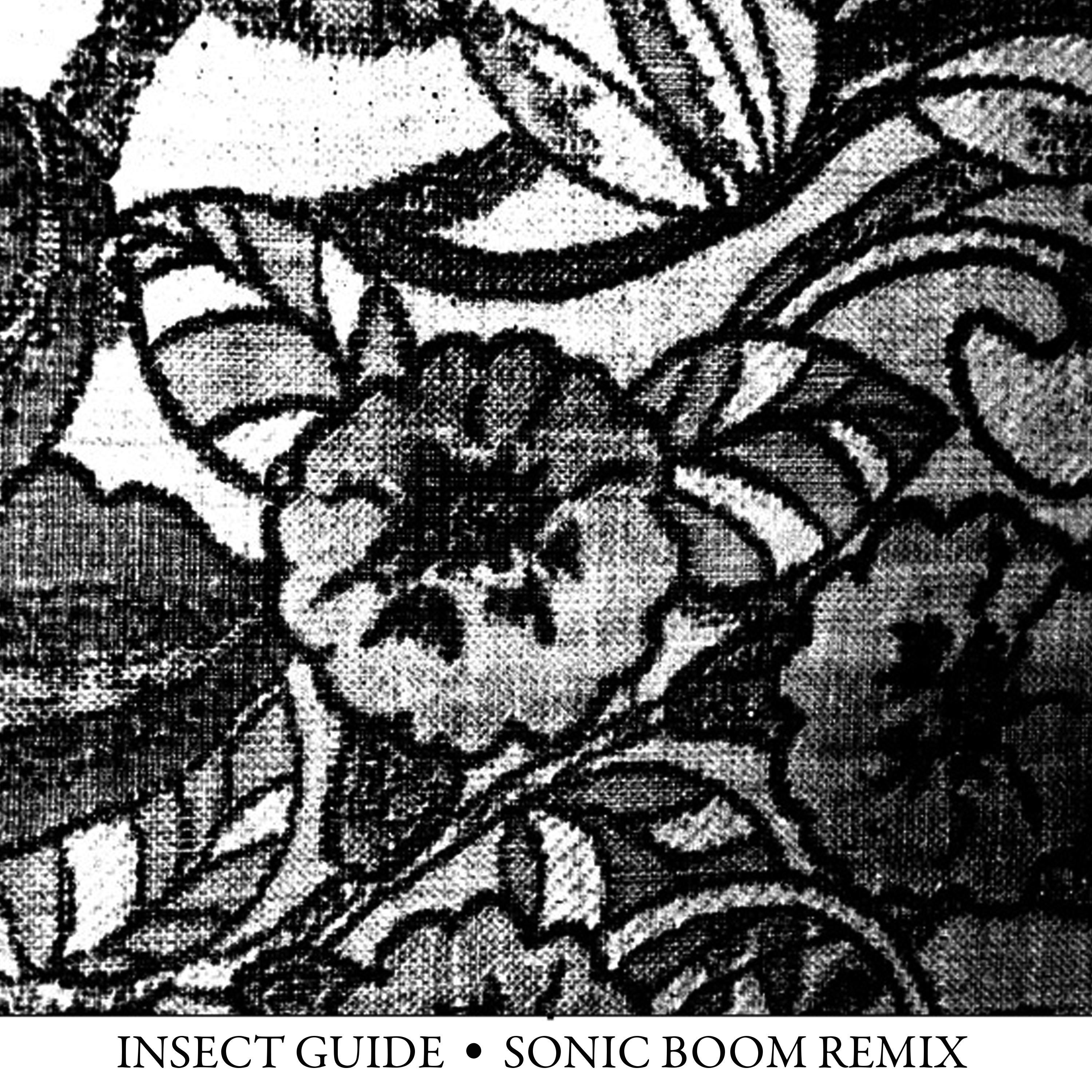Sonic Boom Remix