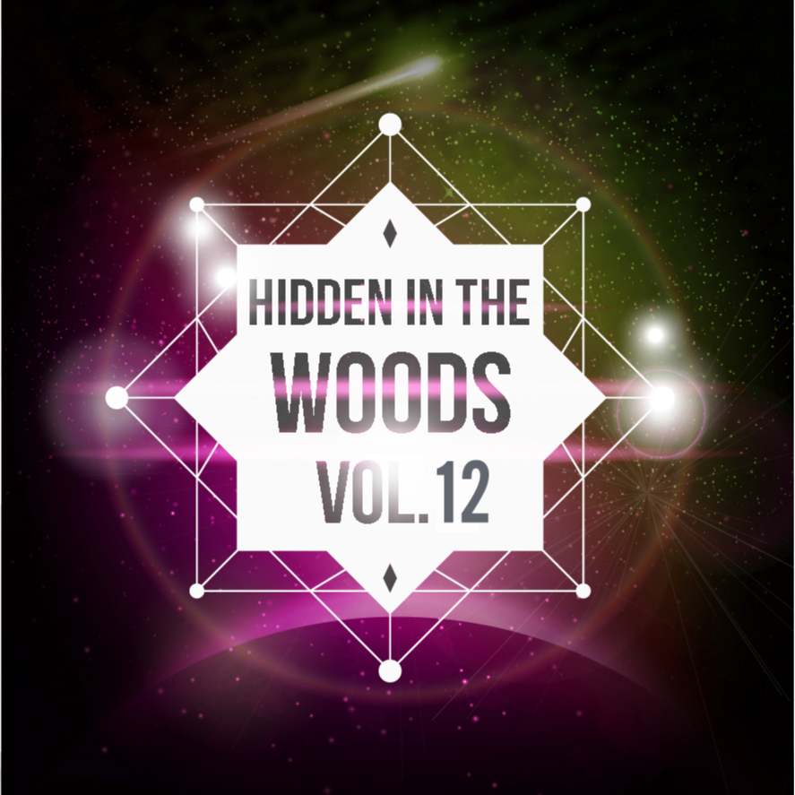 Hidden In The Woods Vol.12专辑