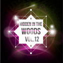Hidden In The Woods Vol.12
