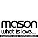 What Is Love (Danny Dubbz Back 2 Future Garage Remix)专辑
