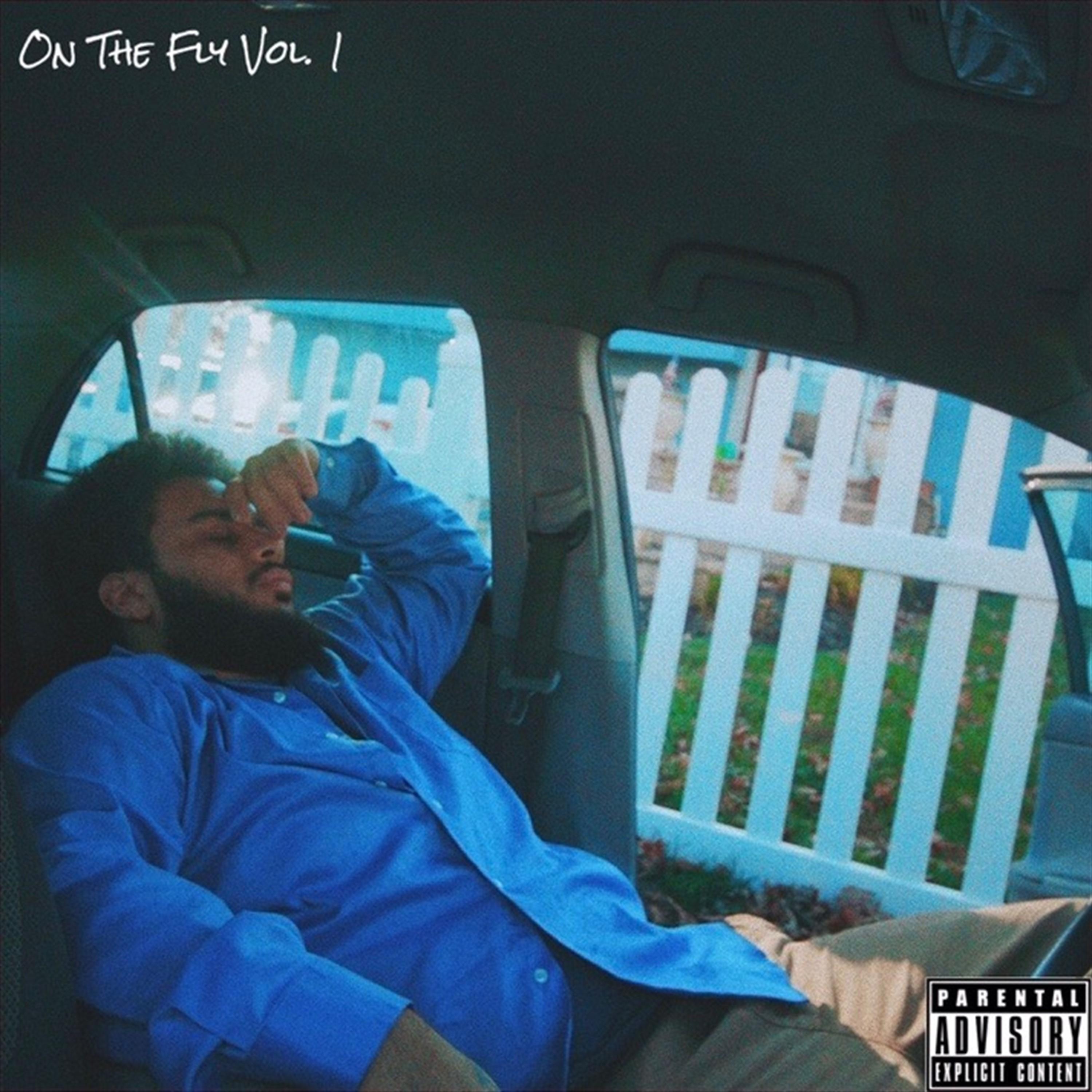 On the Fly, Vol. 1
