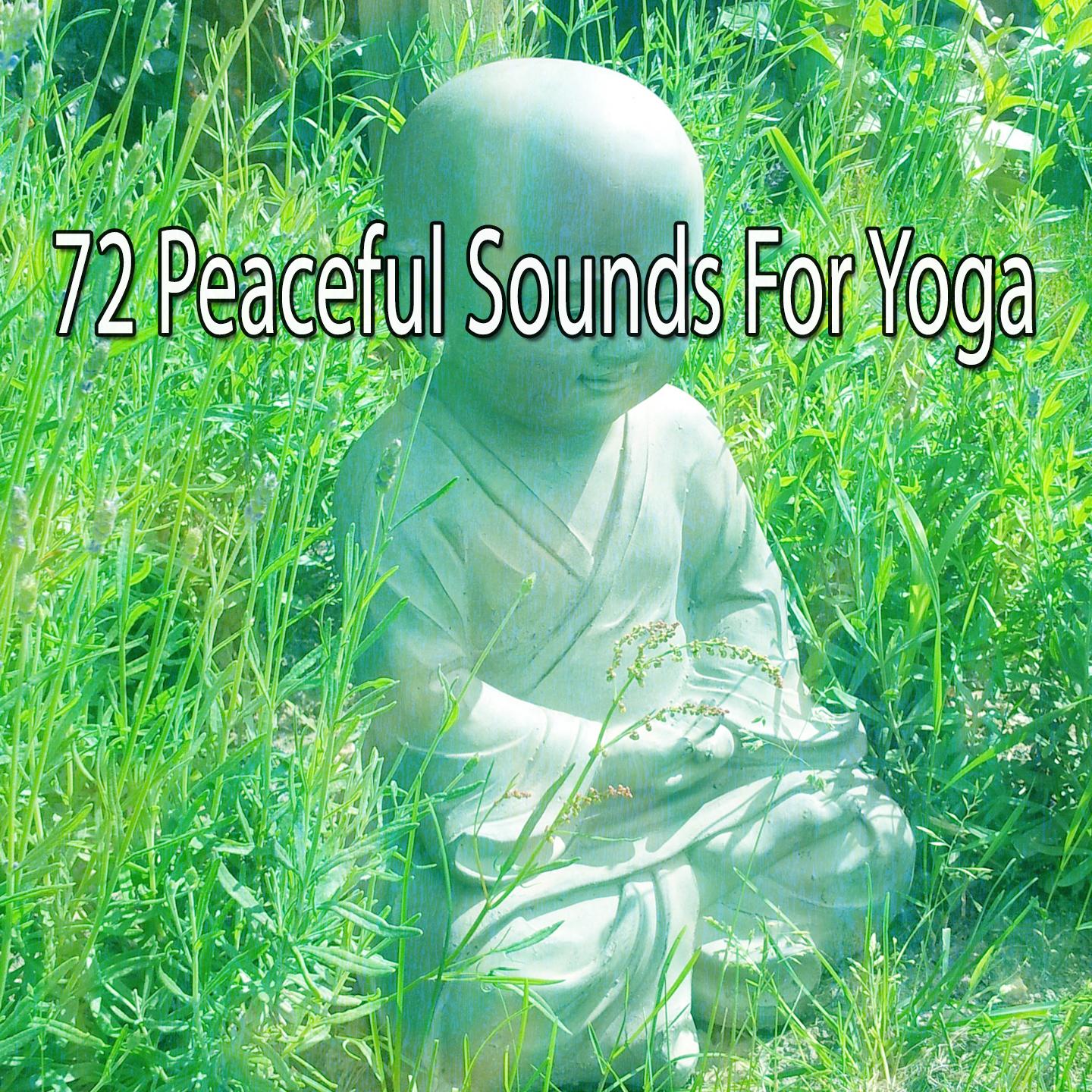 72 Peaceful Sounds For Yoga专辑