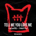 Tell Me You Love Me (Remixes)专辑