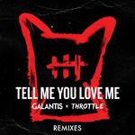 Tell Me You Love Me (Remixes)专辑