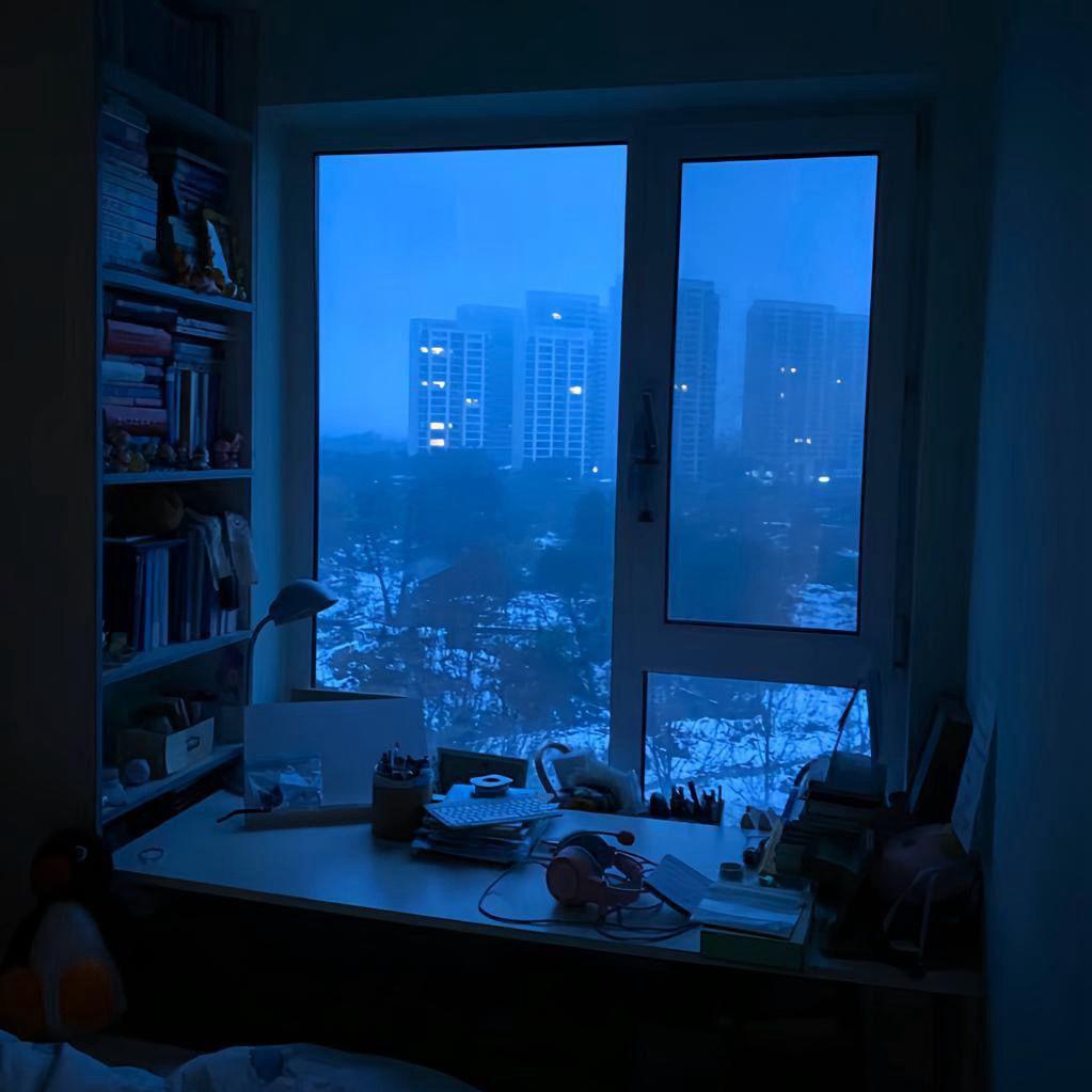 海