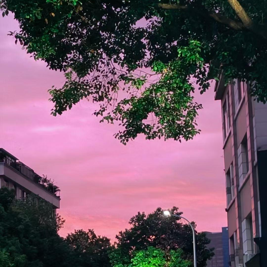 浪漫的雨中花