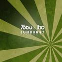 Sunburst专辑