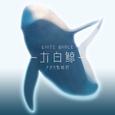 大白鲸
