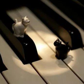 Ludwig van Beethoven No. 23 Op.27
