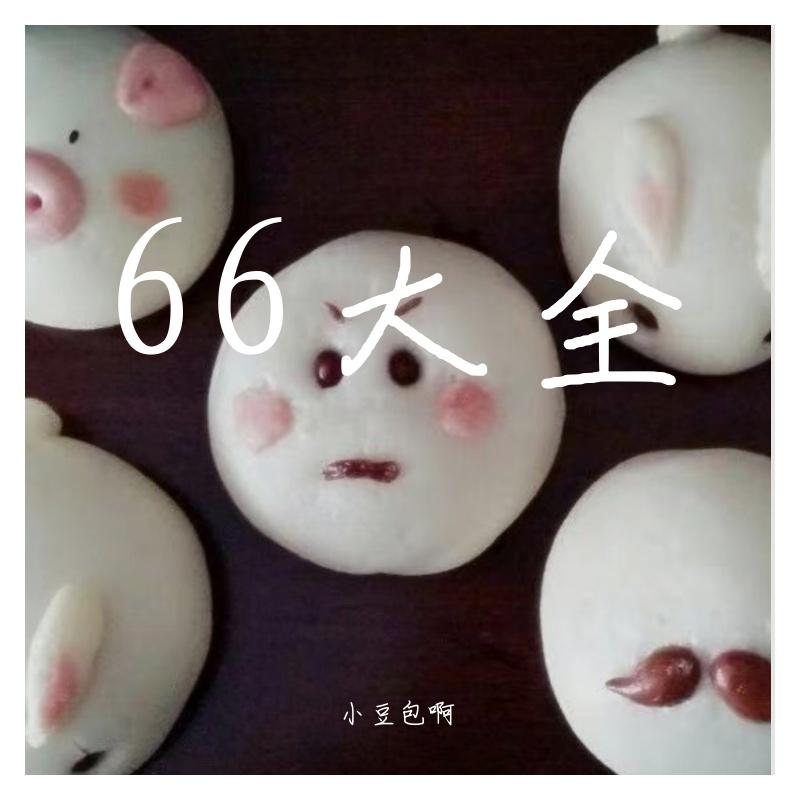 66大全