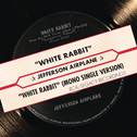 White Rabbit (Digital 45)