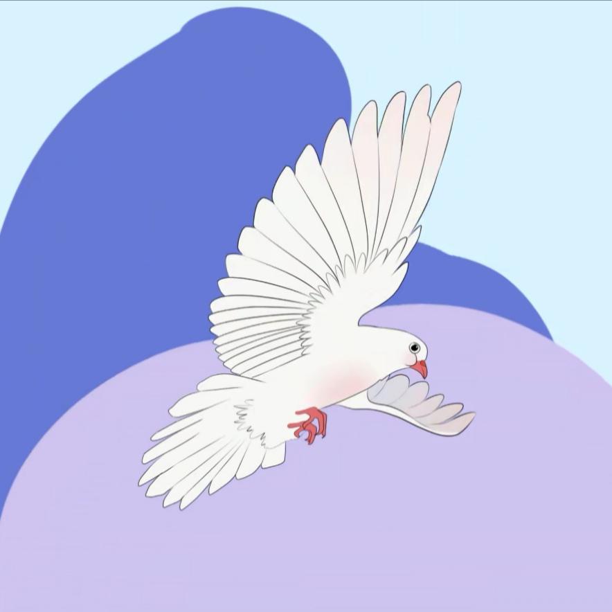 鸽子