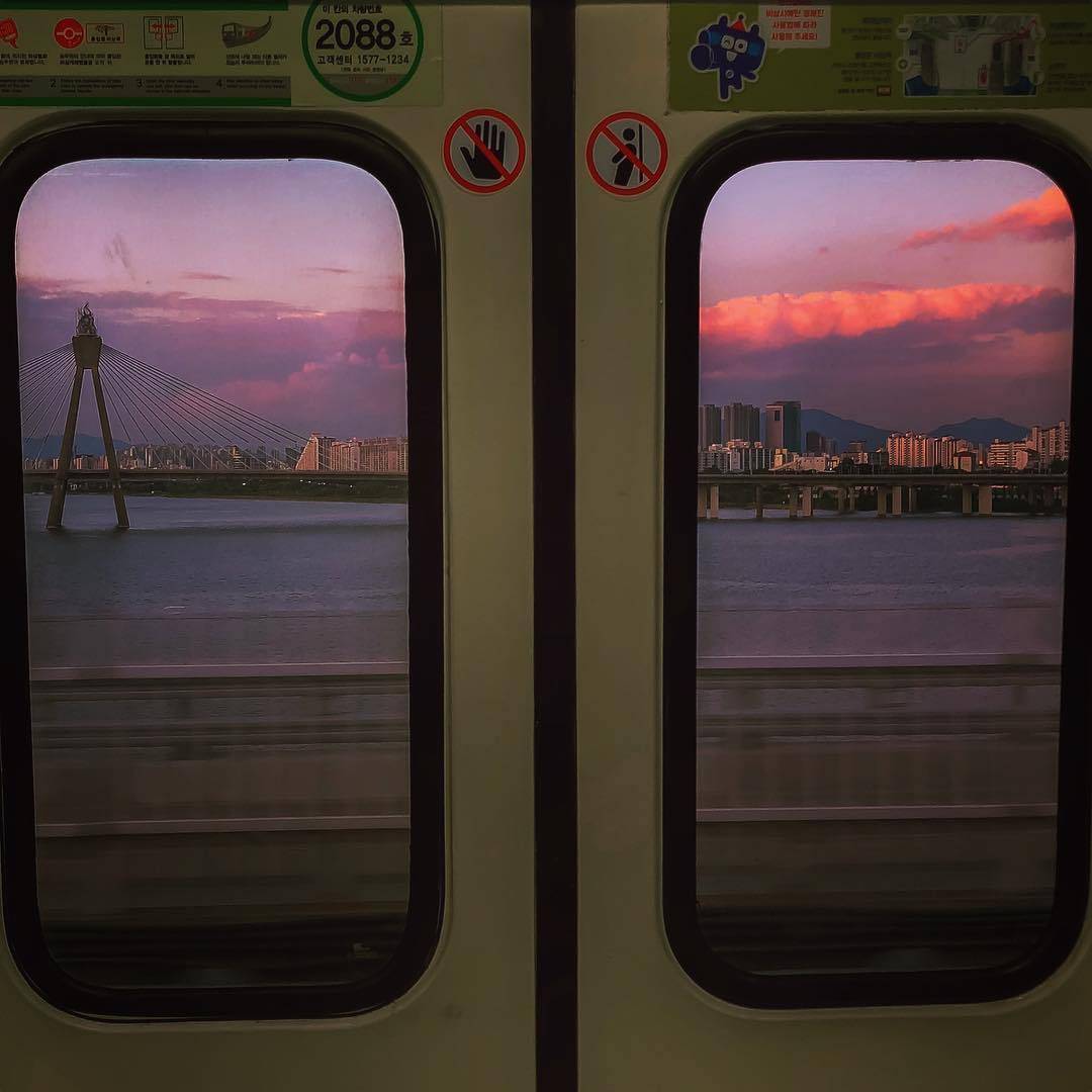 十七草歌曲封面