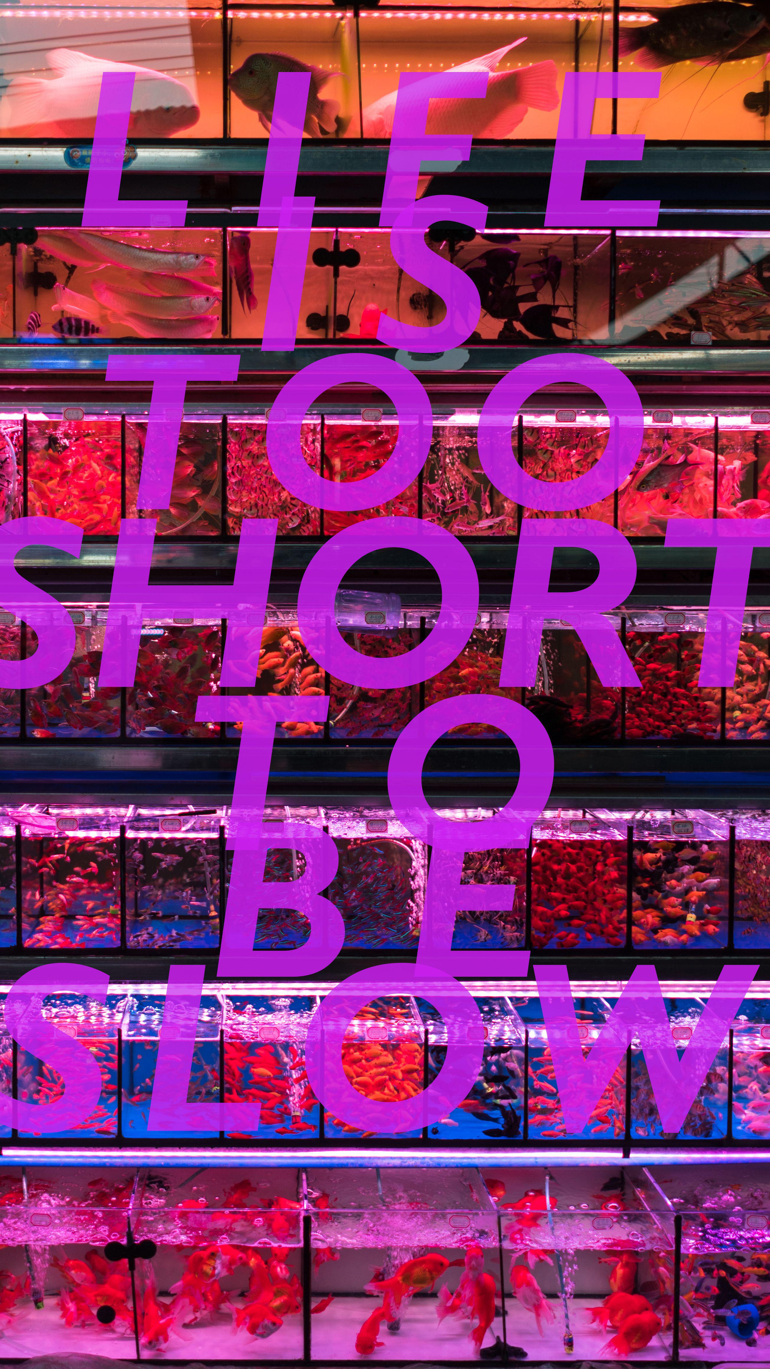 TOO SHORT TO BE SLOW专辑