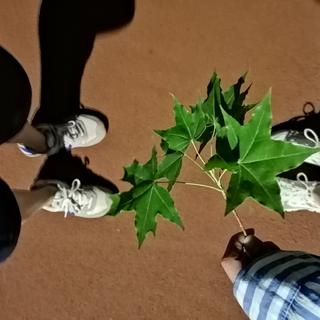 对我而言，你就是最好的
