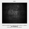 Go Secrets (Denis Nebo & Soundliner Mashup)专辑