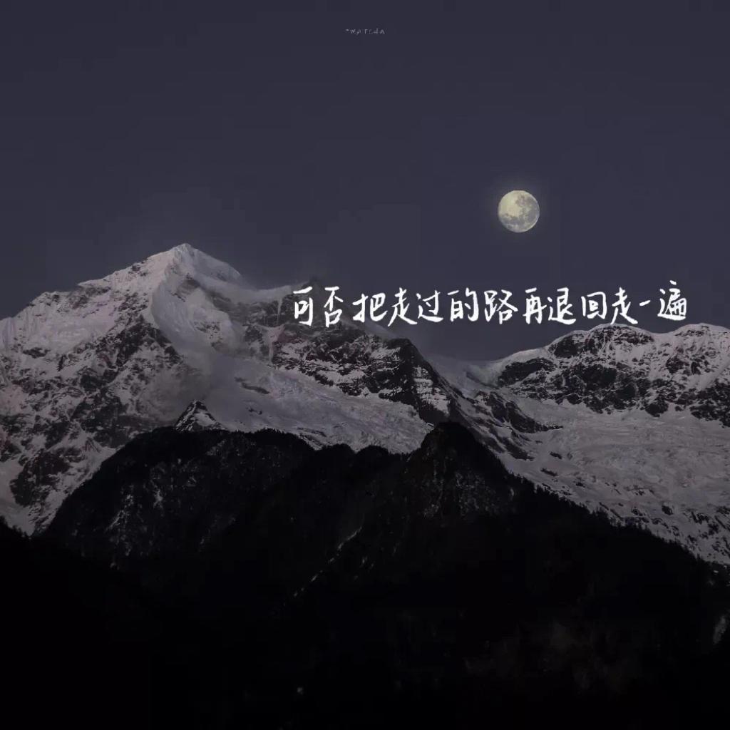 纯音乐 • 伤感回忆录