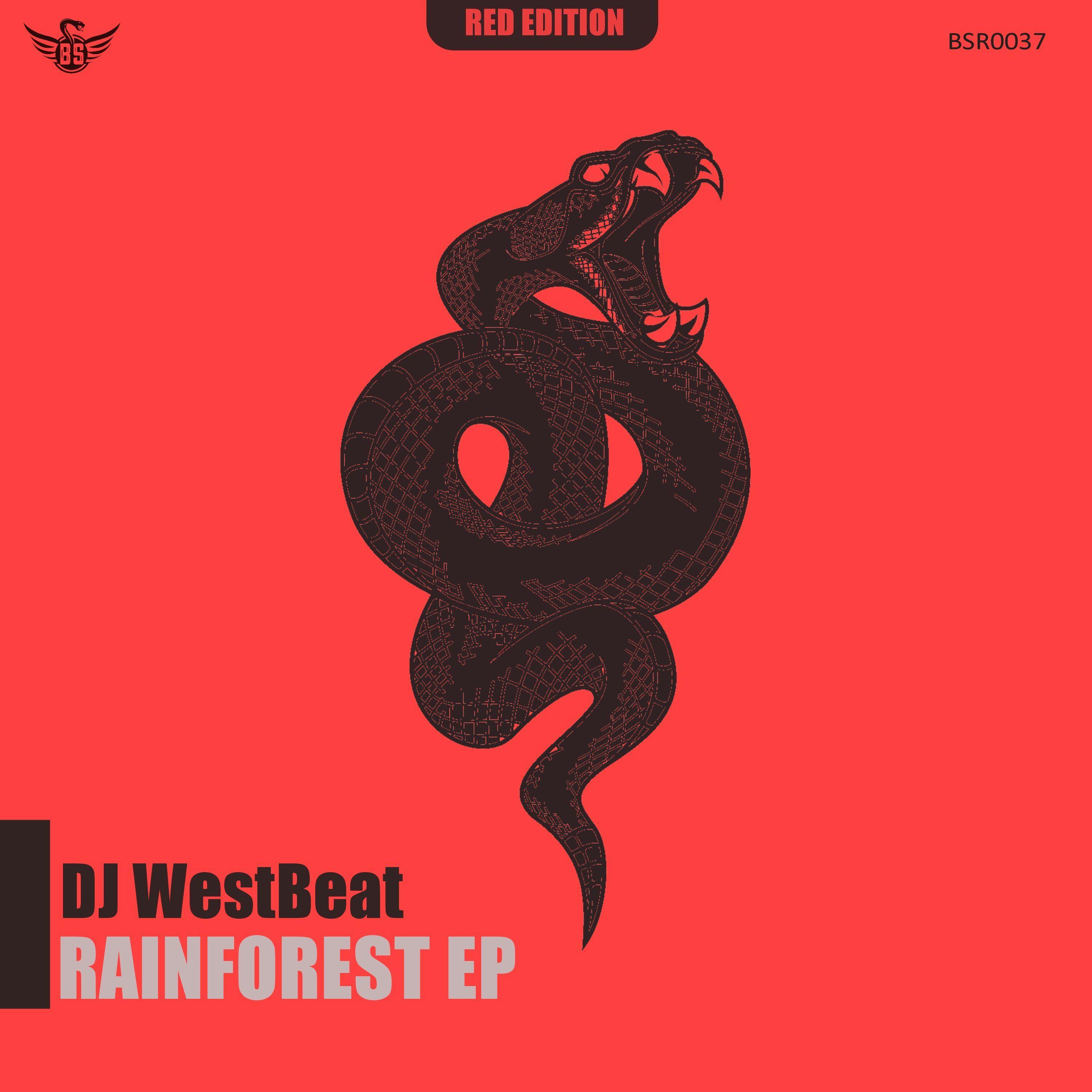 Rainforest