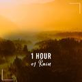 1 Hour of Rain and Nature Sounds an Ambient and Relaxing Collection