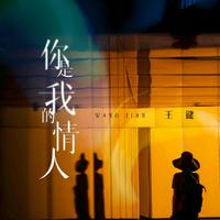 王键 - 你是我的情人