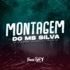 DjLzr o Brabo - Montagem Do Ms Silva