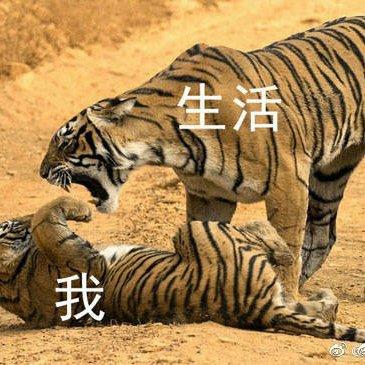 可能会被室友打死的闹钟铃声！！！