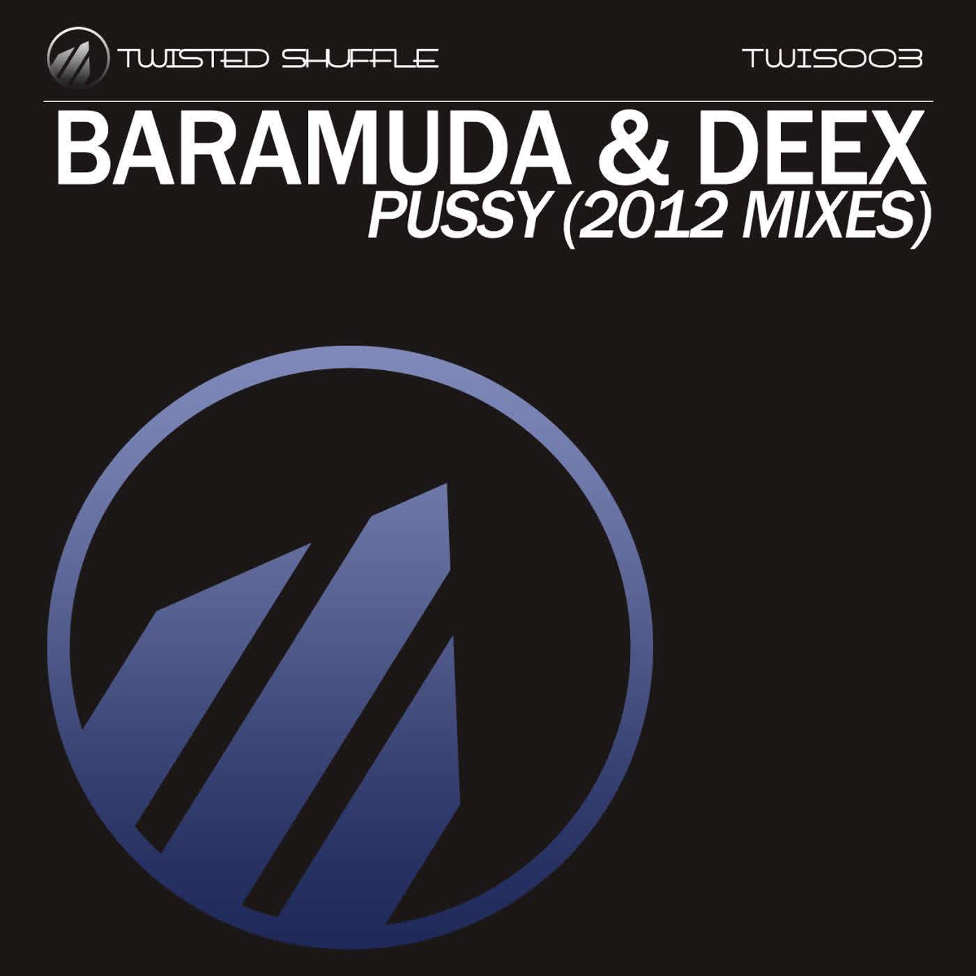 ***** (2012 Mixes)