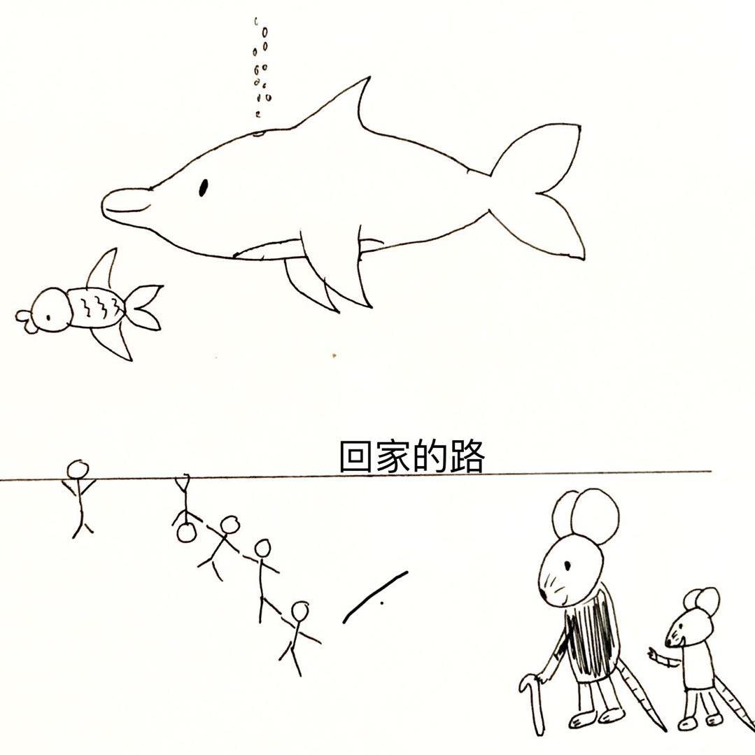 回家的路（现场版）