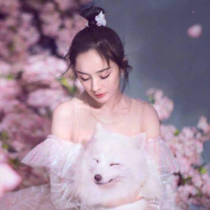 你呀是青云巅上的白月尖，皓雪堆里的梅花