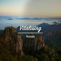 #2018 Vitalising Noises for Meditation and Yoga专辑