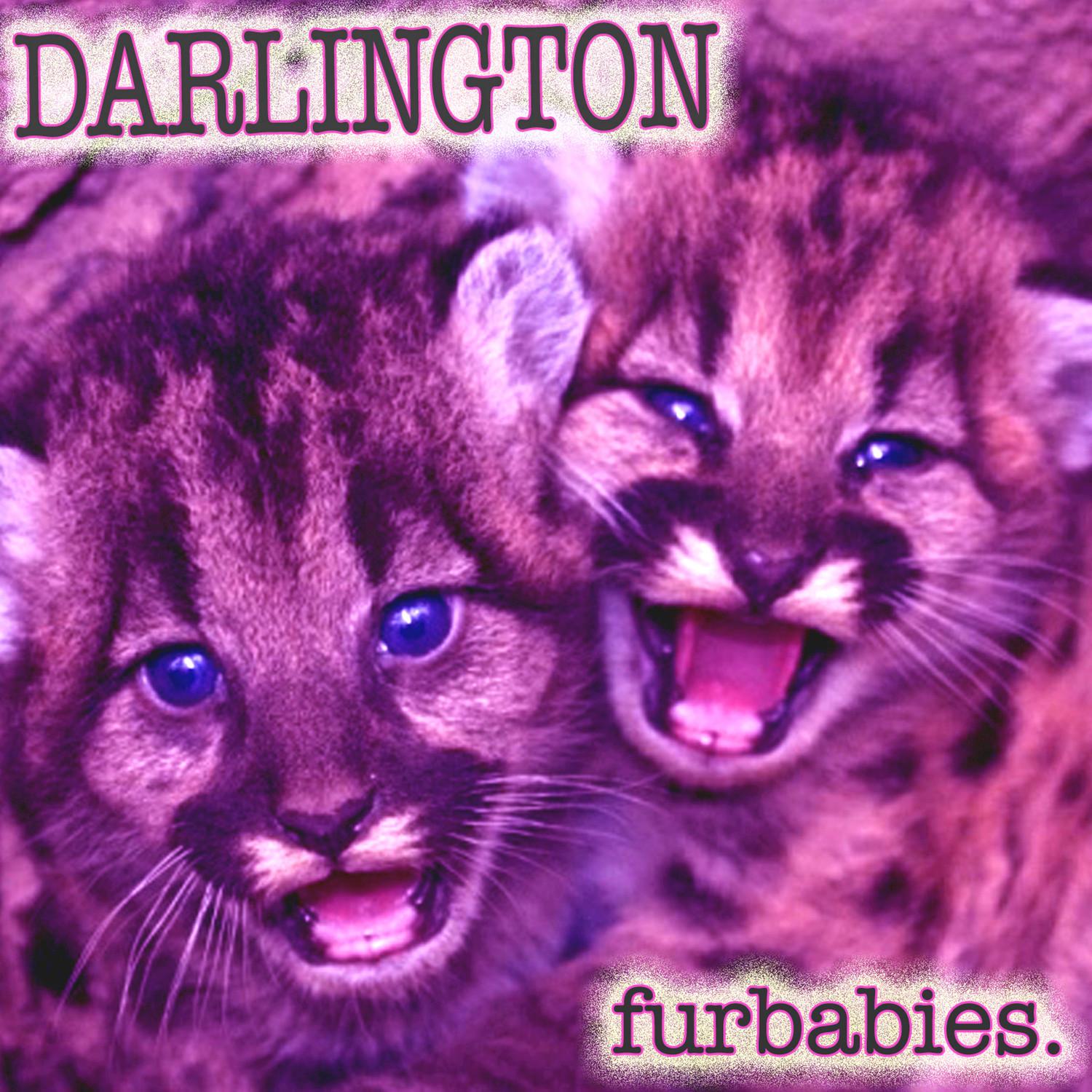 Furbabies