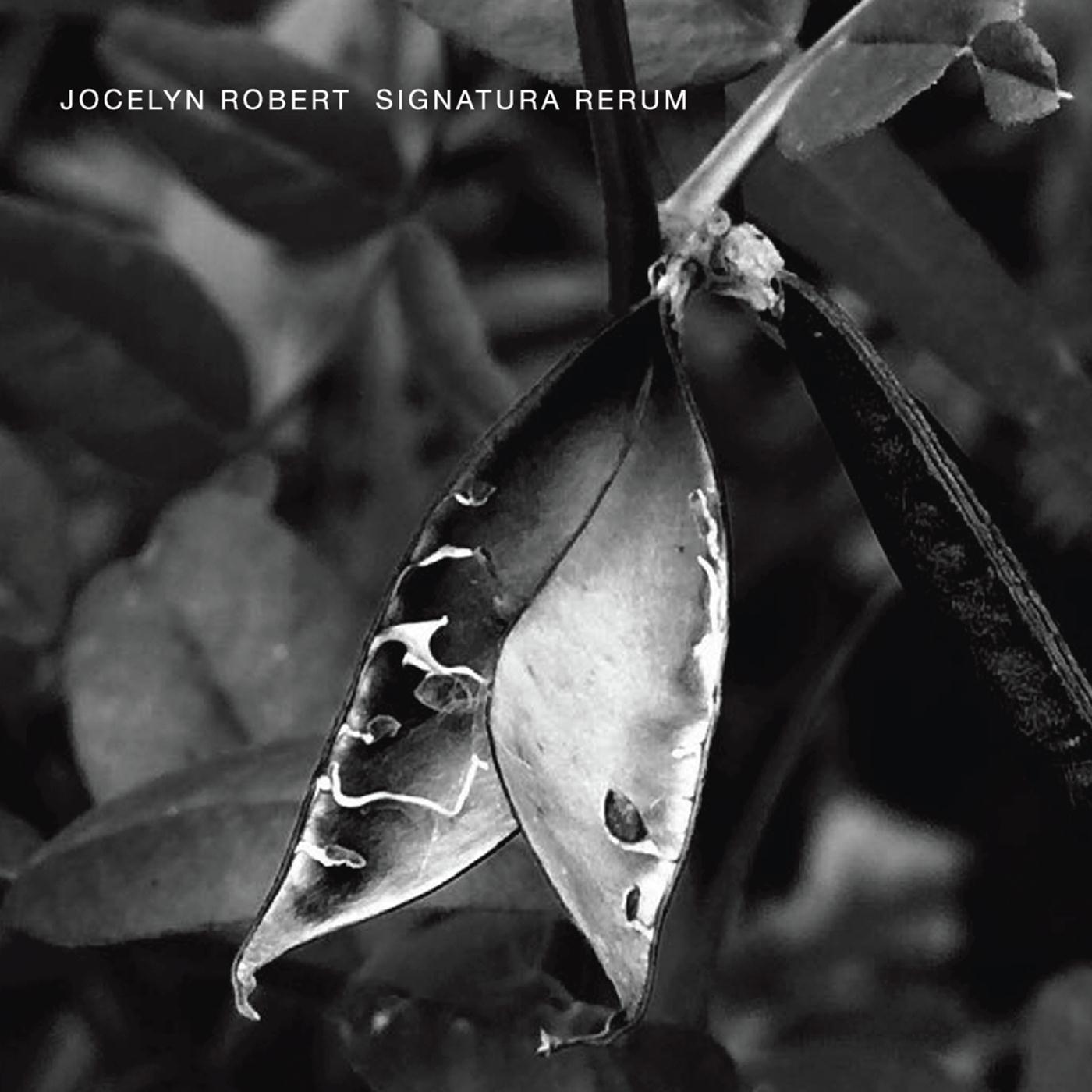 Signatura Rerum