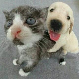 孤独就听听民谣吧