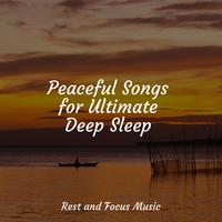 Peaceful Songs For Babies - Feat. Musica Clasica Para Bebes Orchestra (piano Instrumental)