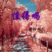 值得吗