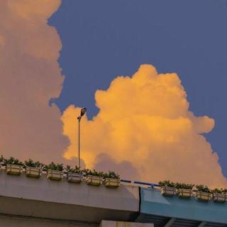 不如我们从头来过