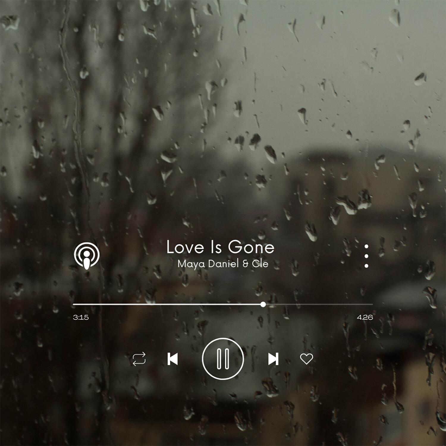Love Is Gone (2007 Rerecorded Version)