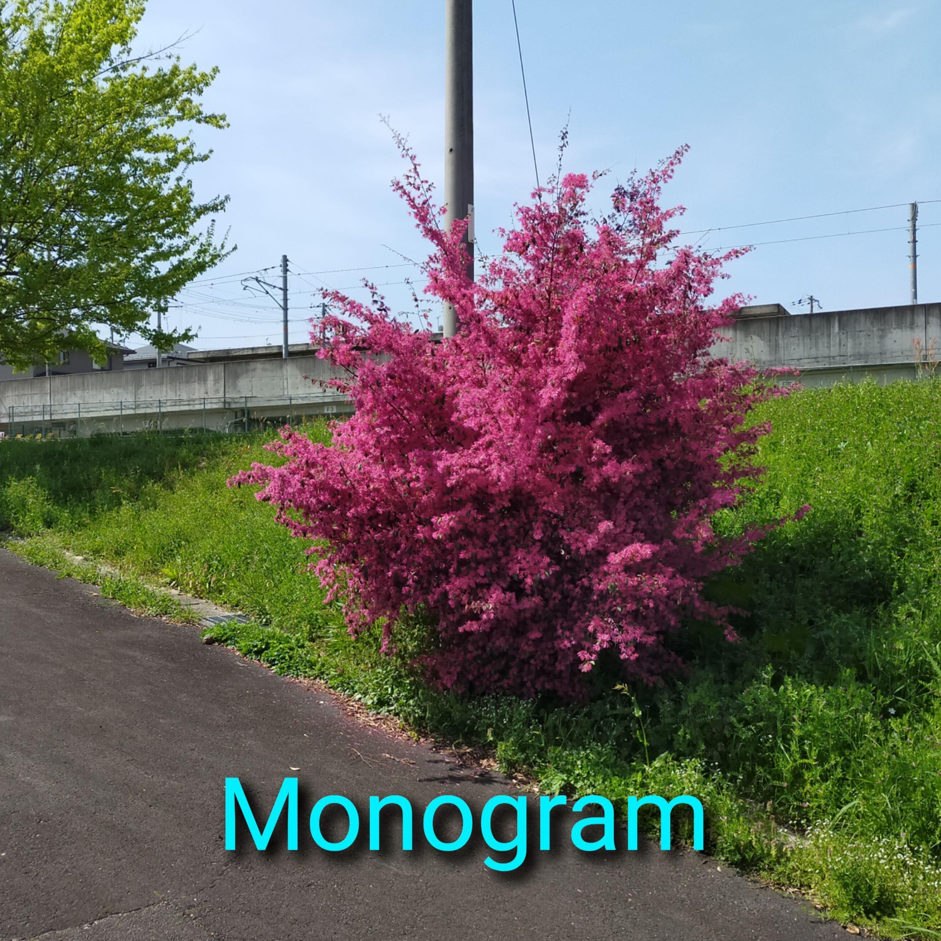 Monogram