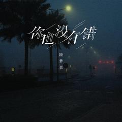 你也没有错 (伴奏)