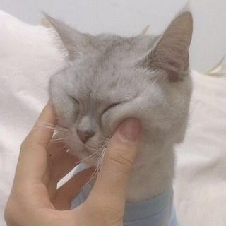 2 0 1 8 你 还 是 睡 不 着。