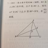 红柚Trapbox