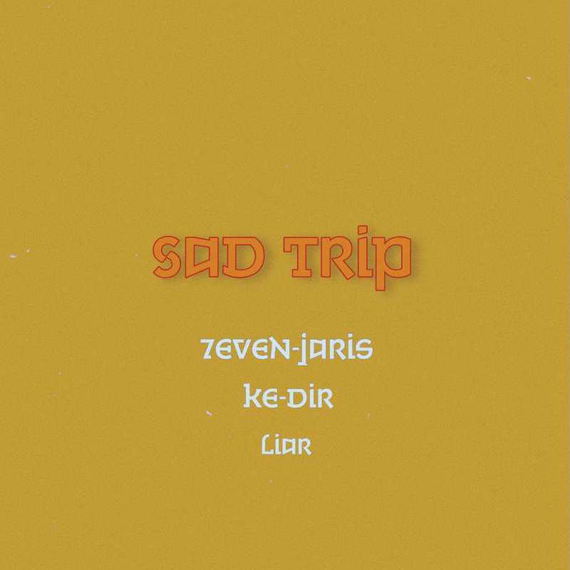 Sad Trip