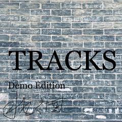 TRACKS-踪