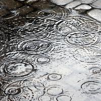 春雨独醉男声伴奏和声