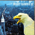 NIGHT HAWKSⅡ