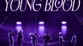 Young Blood (佳辰&祖安)专辑